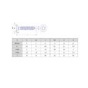 Afbeeldingen van Houtschroef Torx TX20 met volledige draad 4x20 verzinkt