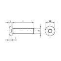 Afbeeldingen van Laagbolkopschroef met binnenzeskant ISO 7380-1 M6x22 inox A4-70 (S4)