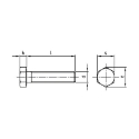 Afbeeldingen van Zeskanttapbout met volledige draad Din 933 M8x70 inox A4-70 (SW13)