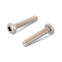 Afbeeldingen van Zelf draadtappende bout met cilinderkop Torx TX20 Din 7500C M4x25 inox A2