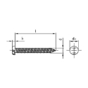 Afbeeldingen van Antidiefstal plaatschroef met tweegatsaandrijving en bolkop 3.5x6.5 inox A2 (SP6)