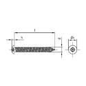 Afbeeldingen van Antidiefstal plaatschroef met inbusaandrijving met pin en bolle kop 4.2x19 inox A2 (S2.5-Pin)