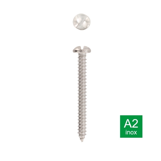 Afbeeldingen van Veiligheidsplaatschroef met eenrichting aandrijving en lenskop 5.5x38 inox A2