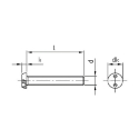 Afbeeldingen van Antidiefstalbout met tweegatsaandrijving en bolkop M4x16 inox A2 (SP8)