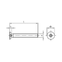 Afbeeldingen van Antidiefstalbout met inbusaandrijving met pin en verzonken kop M12x60 inox A2 (S8-Pin)