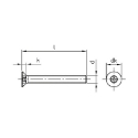 Afbeeldingen van Antidiefstalbout met torxaandrijving met pin en verzonken kop M12x40 inox A2 (TX55-Pin)