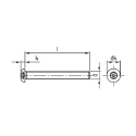 Afbeeldingen van Antidiefstalbout met torxaandrijving met pin en bolle kop M10x75 inox A2 (TX45-Pin)