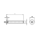 Afbeeldingen van Veiligheidsbout met inbusaandrijving met plug en verzonken kop M6x12 inox A2
