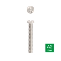 Afbeeldingen van Veiligheidsbout met eenrichting aandrijving en lenskop M5x45 inox A2