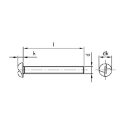 Afbeeldingen van Veiligheidsbout met eenrichting aandrijving en lenskop M6x10 inox A2