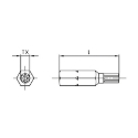 Afbeeldingen van Veiligheidsbits voor Torx aadrijving met Torx TX45 en pin 
