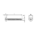 Afbeeldingen van Houtschroef Torx TX20 met bolkop en volledige draad 4.5x50 inox A2