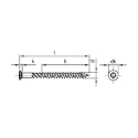 Afbeeldingen van Terrasschroef Torx TX25 met bolverzonken kop, freesribben, deeldraad en voorsnijpunt 5x60/39 inox A2