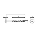 Afbeeldingen van Trespaschroef Torx TX20 gelakt Ral 9005 (Gitzwart) 5.5x55 inox A2