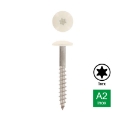 Afbeeldingen van Trespaschroef Torx TX20 gelakt Ral 1013 (Parelwit) 5.5x32 inox A4