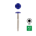 Afbeeldingen van Trespaschroef Torx TX20 gelakt Ral 5002 (Marineblauw) 5.5x38 inox A2