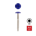 Afbeeldingen van Trespaschroef Torx TX20 gelakt Ral 5002 (Marineblauw) 5.5x25 inox A4