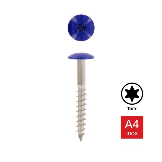 Afbeeldingen van Trespaschroef Torx TX20 gelakt Ral 5002 (Marineblauw) 5.5x35 inox A4