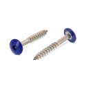 Afbeeldingen van Trespaschroef Torx TX20 gelakt Ral 5002 (Marineblauw) 5.5x38 inox A2