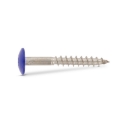 Afbeeldingen van Trespaschroef Torx TX20 gelakt Ral 5002 (Marineblauw) 5.5x55 inox A4