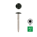 Afbeeldingen van Trespaschroef Torx TX20 gelakt Ral 6009 (Bruingroen) 4.8x60 inox A2