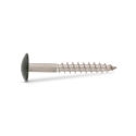 Afbeeldingen van Trespaschroef Torx TX20 gelakt Ral 6009 (Bruingroen) 5.5x55 inox A2