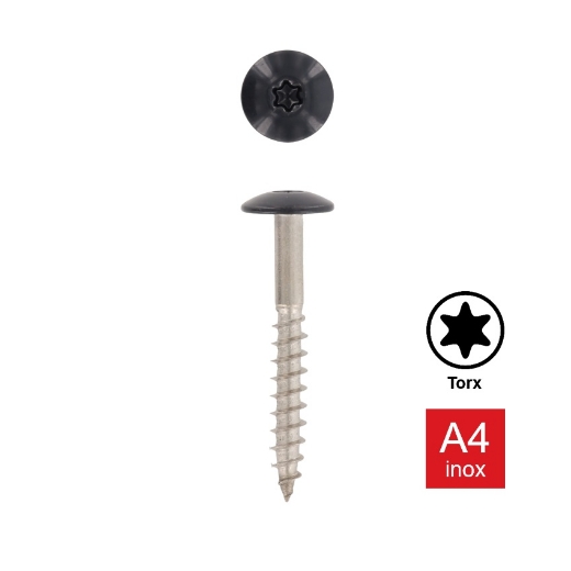 Afbeeldingen van Trespaschroef Torx TX20 gelakt Ral 7016 (Antracietgrijs) 5.5x55 inox A4