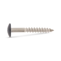 Afbeeldingen van Trespaschroef Torx TX20 gelakt Ral 7016 (Antracietgrijs) 5.5x55 inox A4