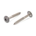 Afbeeldingen van Trespaschroef Torx TX20 gelakt Ral 7037 (Stofgrijs) 5.5x32 inox A4