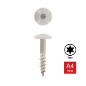 Afbeeldingen van Trespaschroef Torx TX20 gelakt Ral 7038 (Agaatgrijs) 5.5x38 inox A4