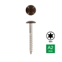 Afbeeldingen van Trespaschroef Torx TX20 gelakt Ral 8014 (Sepiabruin) 4.8x60 inox A2