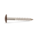 Afbeeldingen van Trespaschroef Torx TX20 gelakt Ral 8014 (Sepiabruin) 5.5x45 inox A2