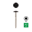 Afbeeldingen van Trespaschroef Torx TX20 gelakt Ral 9005 (Gitzwart) 4.8x32 inox A2