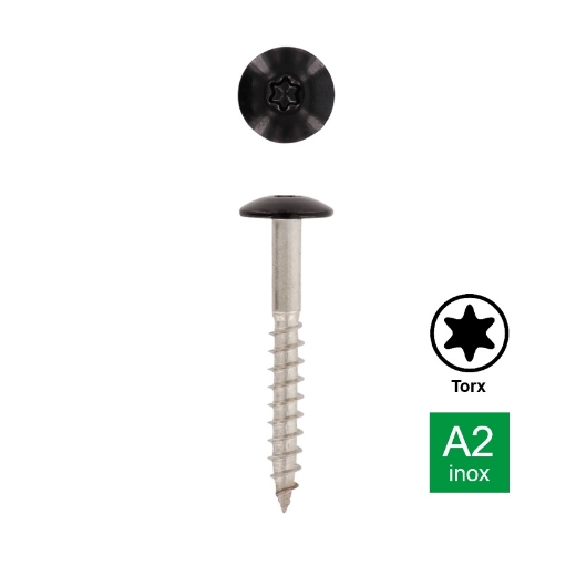 Afbeeldingen van Trespaschroef Torx TX20 gelakt Ral 9005 (Gitzwart) 4.8x32 inox A2