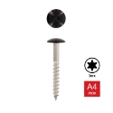 Afbeeldingen van Trespaschroef Torx TX20 gelakt Ral 9005 (Gitzwart) 5.5x38 inox A4