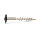 Afbeeldingen van Trespaschroef Torx TX20 gelakt Ral 9005 (Gitzwart) 5.5x25 inox A4