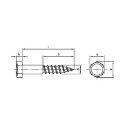 Afbeeldingen van Houtdraadbout Din 571 4x45 inox A4 (SW7)