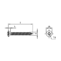 Afbeeldingen van Plaatschroef met bolverzonken kop Torx TX25 Din 7983C-T 4.8x100 inox A4