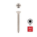 Afbeeldingen van Plaatschroef met bolverzonken kop Torx TX25 Din 7983C-T 4.8x100 inox A4