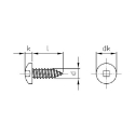 Afbeeldingen van Plaatschroef met bolle kop vierkant SQ2 Din 7981C-S 4.2x38 inox A2