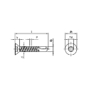 Afbeeldingen van Zelfborende plaatschroef met verzonken kop Torx TX20 Din 7504O-T 4.2x25 inox A2