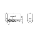 Afbeeldingen van Zelfborende plaatschroef met bolle kop vierkant SQ2 Din 7504M-S 4.8x16 inox A2