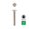 Afbeeldingen van Antidiefstalbout met tweegatsaandrijving en bolkop M5x25 inox A2 (SP10)